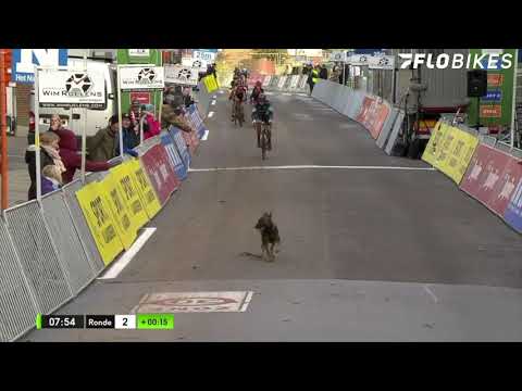 Video: Titta: Hunden bryter sig in i cykelcrosstävlingen, jagar ryttare