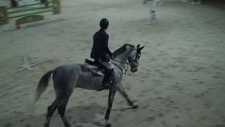 Antonio Vozone Zurika Deiro Ronda 2 12.11.16