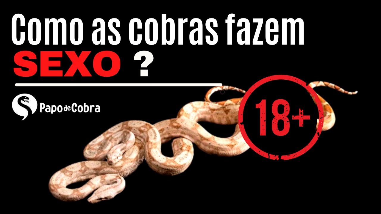 Homem transando com a cobra