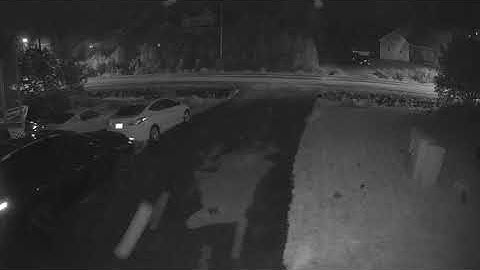 IR Camera attracting small bugs?