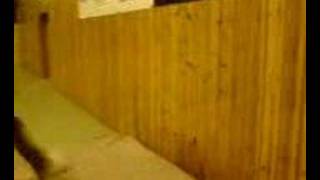 Was my first attempt on a wall flip