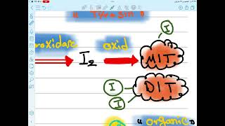 Chapter 19 of the endocrine system