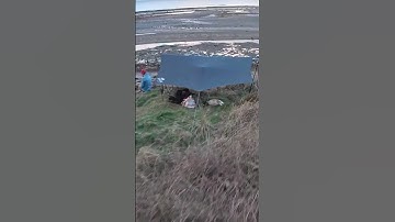 Hammock beach camp. AMOK Draumr 5.0. Yobogear freedom stand. #shorts #hammock #camping #hammocking