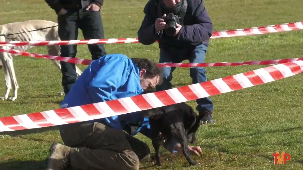 Concurso de perros truferos y Stand en Covarrubias