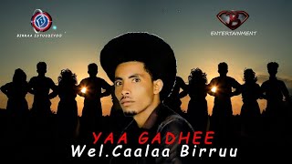 Caalaa Birruu Yaa Gadhee. New Oromoo 🎶 music 🎶 2015