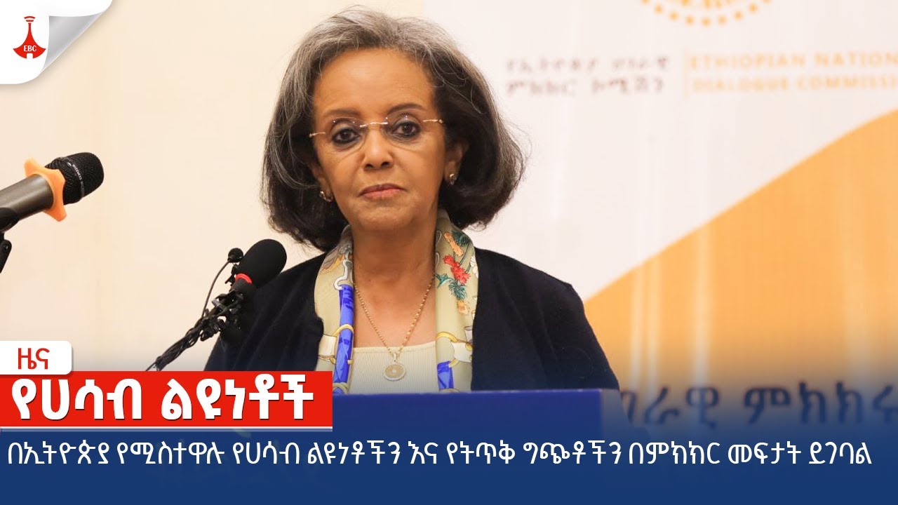 በኢትዮጵያ የሚስተዋሉ የሀሳብ ልዩነቶችን እና የትጥቅ ግጭቶችን በምክክር መፍታት ይገባልEtv | Ethiopia | News zena