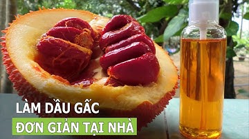 Cách làm dầu gấc cực đơn giản tại nhà | VTC16