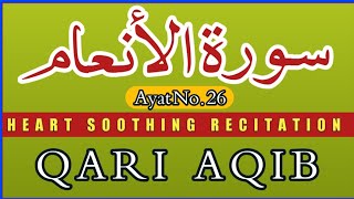 Surah Al Anam Ayat 26 Best Quran Recitation in the world 2020 | Heart Soothing By Qari Aqib