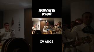 Serenata Para La Princesa de Papá, la Única Mujer que Nos Puede  Desarmar...