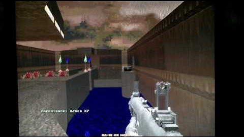 Doom With Modern Warfare 2 Weapons And Gameplay!!!