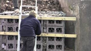 Sand martin wall