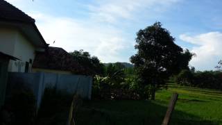 Walet sapu jagad banyuda