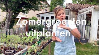 Ini's Moestuin #98 Mei: alle zomergroenten & bloemen uitplanten. Waarom mislukken de sperziebonen?