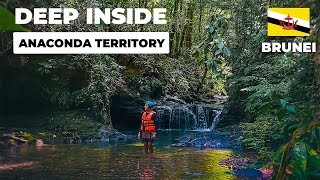 IS THIS THE REAL BORNEO JUNGLE?🦎 Ulu Temburong National Park, BRUNEI 🇧🇳