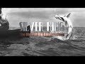 Silver king the birth of big game fishing  a wgcu fishing documentary