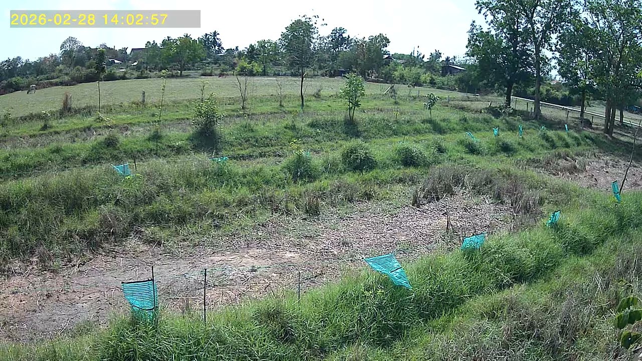 UBox 2026 02 28 135816 3 137