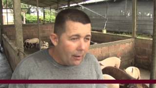 Cuban Farmer Packages Biogas from Pig Manure