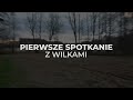 ZAPOWIEDŹ PIERWSZEGO SPOTKANIA Z WILKAMI - PIĄTEK 17:00 SUDECKA OSTOJA