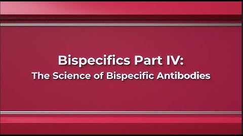 Bispecifics Part 4: The Science of Bispecific Antibodies