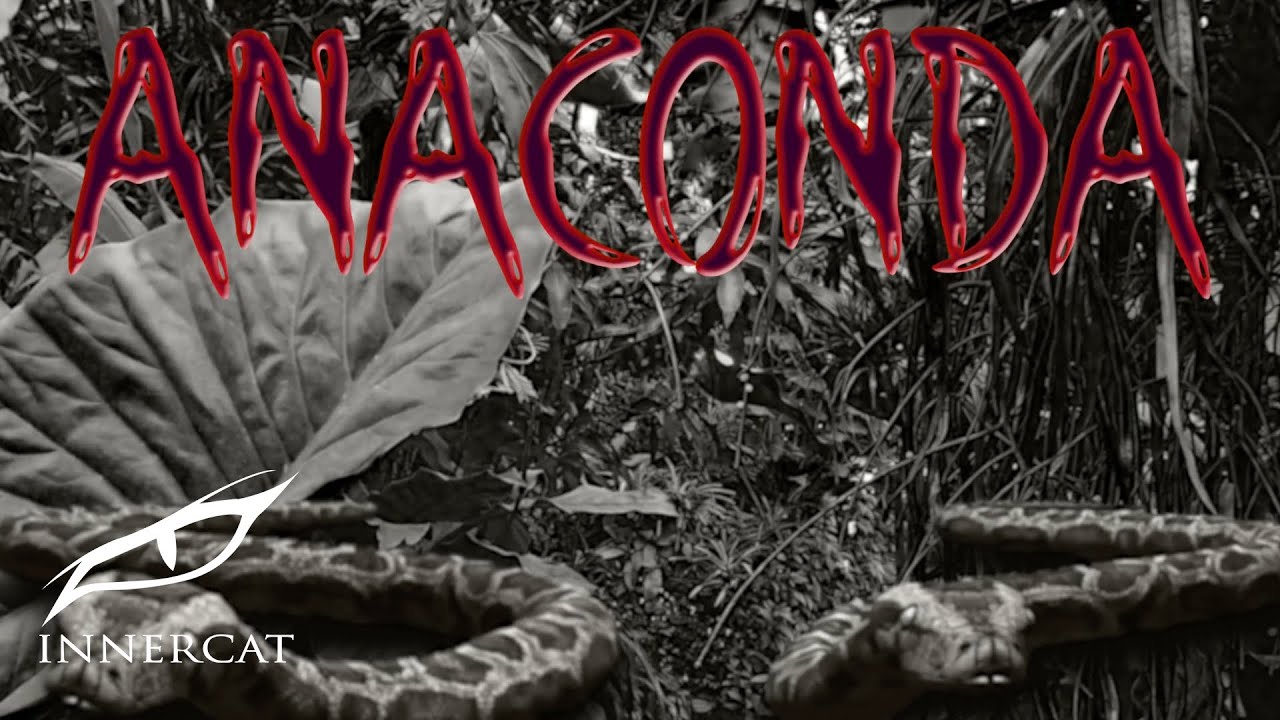 Obejrzyj Young Eiby - Anaconda (Cover Video) w YouTube Obejrzyj Young Eiby - Anaconda (Cover Video) w YouTube