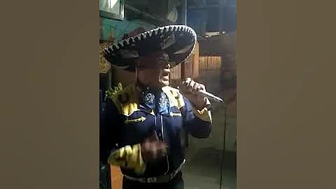 mariachis y canciones Luis guanchez, interpretacio...