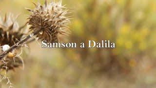 BIBLIA 26 | Samson a Dalila