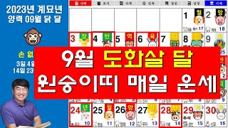 2023 양력 9월 원숭이띠 신살로 보는 매일 운세 일일운세 확인 하세요. 사주상담  010.5571.966…