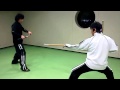 Hybrid Action Performance ①