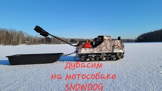 Дубасим на мотособаке SNOWDOG