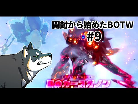 開封から始めたbotw 9 Youtube