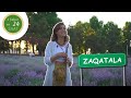 1 şəhər və 24 saat - Zaqatala - 12.07.2020