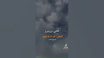 إن ضل قلبي نصر الدين طوبار صباحكم رضا من الله 
