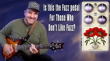 Red Witch Euphorium Fuzz Demo | Most Versatile Fuzz Pedal?