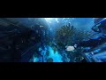New England aquarium Giant Ocean Tank in 360