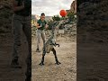 Threw a Ball… Didn’t Expect a Dinosaur to Play Back #ai #aicreature #creaturedesign #shorts