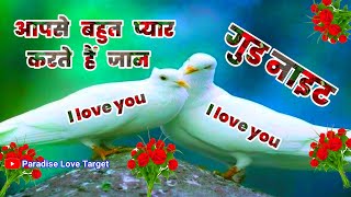 4 Aug, Good night shayari status?खुदा प्यार सबको देता है?good night video?good night wishes video