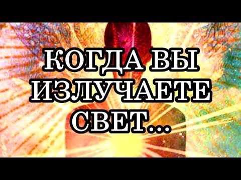 Вопрос: Почему насекомые, зачастую ночные, в темноте стремятся к свету?