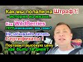 Как мы попали на ШТРАФ? - Истрия из Жизни.. / Переупаковка WildBerries