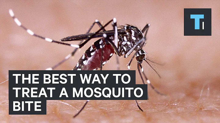 The best way to treat a mosquito bite - DayDayNews