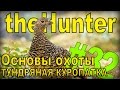 theHunter - Тундряная куропатка [Основы охоты] #32