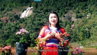 Thaum Kuv Ntsib Teeb Meem (Instrumental) | N.Ntxawg Vwj chords