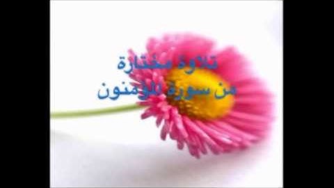 تلاوة مختارة ( من سورة المؤمنون )