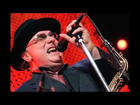 Van Morrison Someone Like You Youtube