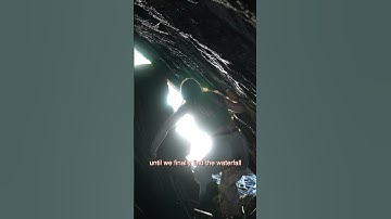 This week’s adventure in the rainforest #shorts