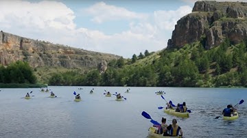 IE Summer School: Unlock New Skills and Global Connections