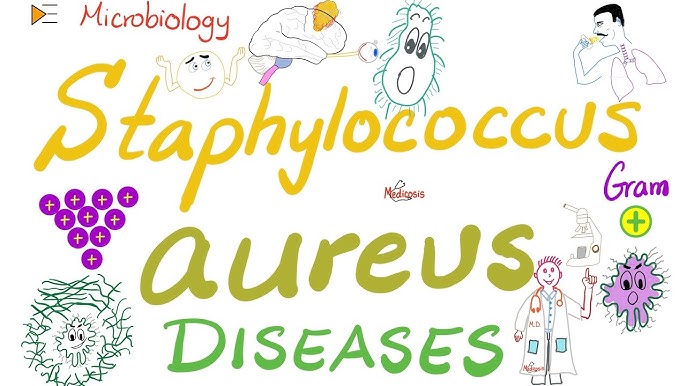 Staphylococcus aureus Infections