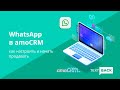 WhatsApp в amoCRM: как настроить и начать продавать