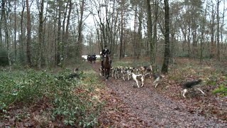 French fans of traditional hunting defend their pastime