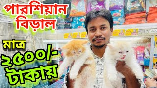 Katabon  Pet Price in Bangladesh 2024 | Katabon cat price in BD | Katabon Pet Price in Bangladesh
