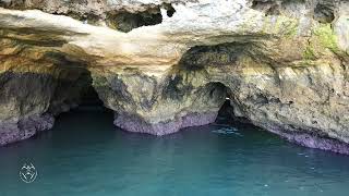 ARCO NATURAL DA MESQUITA - PORTUGAL